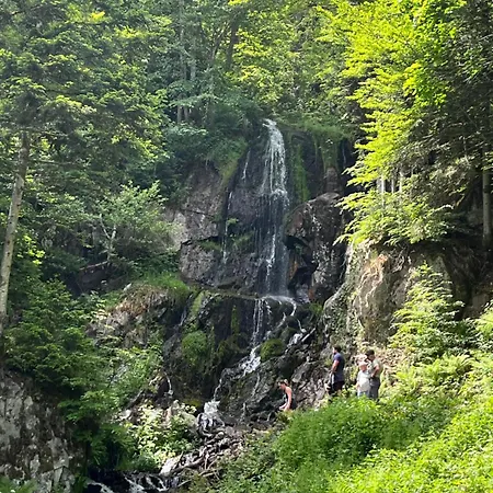 Evasion Nature 768m فندق مبيت وإفطار لي هوهوالد