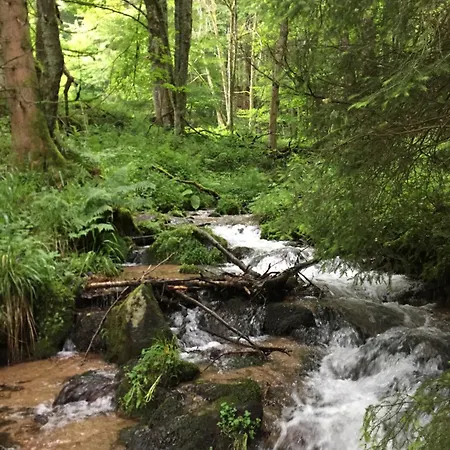 Evasion Nature 768m *