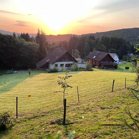 Evasion Nature 768m *