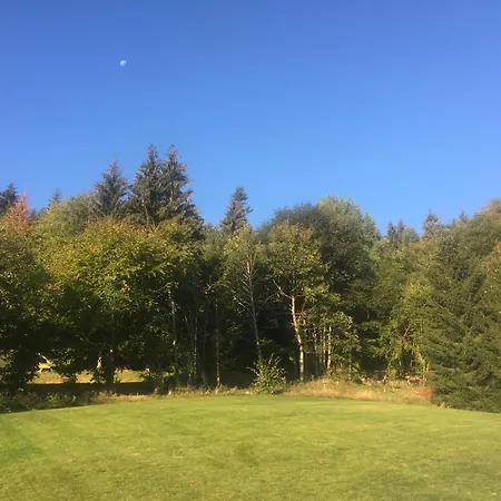 Bed & Breakfast Chalet Le Hohwald Chambres D Hotes Evasion Nature 768M *