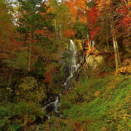 فندق مبيت وإفطار Evasion Nature 768m لي هوهوالد