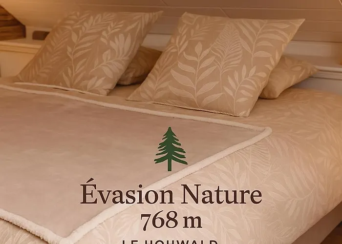 Evasion Nature 768m D'hotes Au Le Hohwald