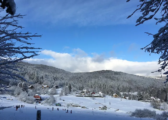 Bed & Breakfast Evasion Nature 768m D'hotes Au Le Hohwald