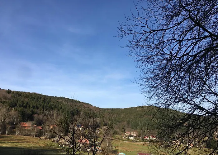 Bed & Breakfast Evasion Nature 768m D'hotes Au Le Hohwald