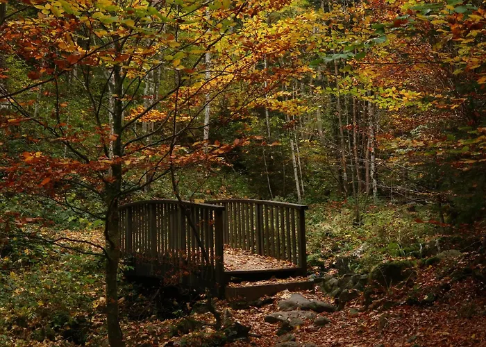 Evasion Nature 768m D'hotes Au