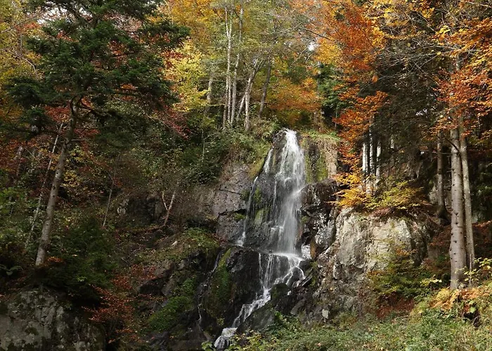 Evasion Nature 768m D'hotes Au Bed & Breakfast *